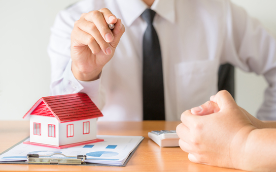 Development and Lease-Ups